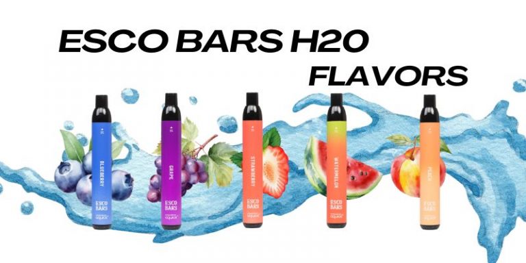 Esco Bars H20 2500: A Flavorful Vape Voyage Awaiting