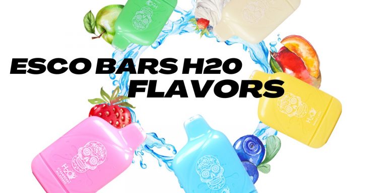 Esco Bars H20 Flavor Exploration: Water-Based Vape Magic