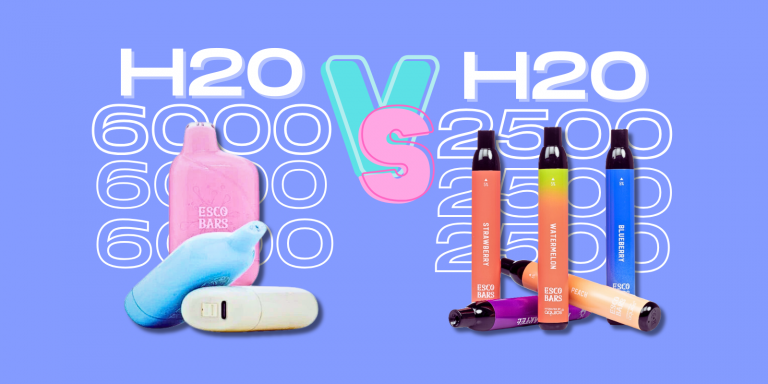 Esco Bars H20 Review: 6000 VS. 2500 Puffs Vape Comparison