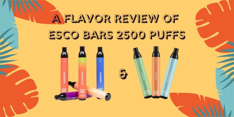 Vape Voyage: A Flavor Review Of Esco Bars 2500 Puffs